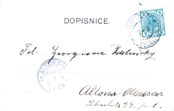 Zvířetice (hrad) 1906 95 007 ●